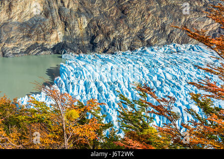 Ghiacciaio grey,Patagonia Cile - un ghiacciaio in Patagonia meridionale del campo di ghiaccio, la Cordigliera del Paine Foto Stock