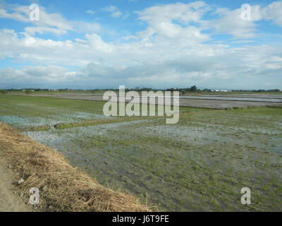 L'immagine raffigura le risaie di Bulualto, Parcutela e Marelo, situate nella città di Gapan, Nueva Ecija. L'area è caratterizzata da un paesaggio agricolo rigoglioso, con strade che si intrecciano sul terreno. Questo ambiente rurale mette in risalto le pratiche agricole nel centro di Luzon, Filippine. Foto Stock