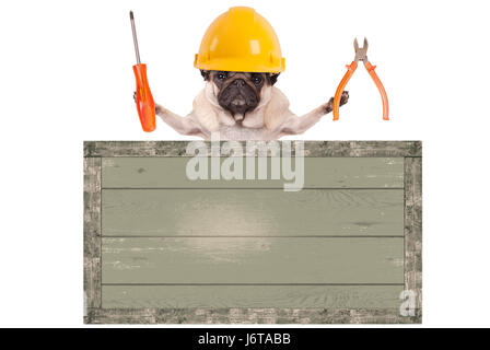 Costruttore pug dog tenendo una pinza e un cacciavite dietro il vuoto di legno vecchio segno, isolati su sfondo bianco Foto Stock