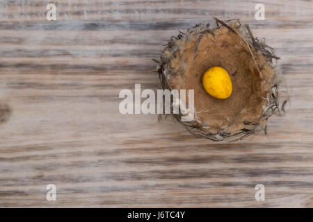 Piccolo nido di uccelli con uno d'oro screziato uovo su sfondo di legno Foto Stock