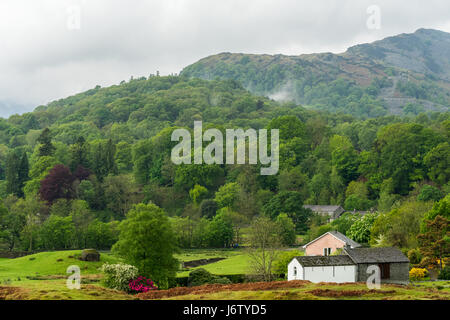 Paesaggi intorno a elterwater e poco langdale su una calda giornata di primavera. Foto Stock