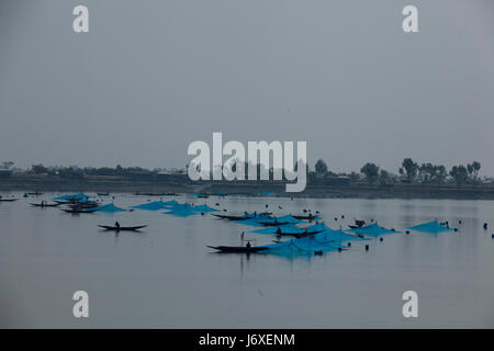 I pescatori la cattura di gamberetti giovani sul fiume Kholpetua in la Sundarbans. Satkhira, Bangladesh. Foto Stock