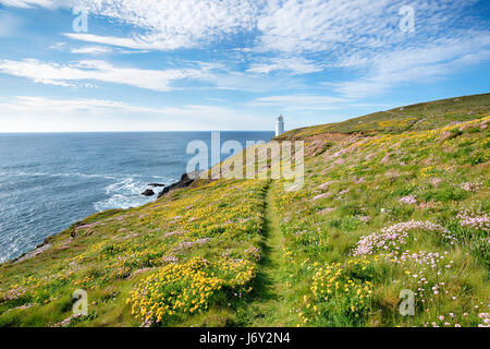 Un percorso clifftop foderato con fiori selvatici in testa Trevose Lighhouse vicino a Padstow in Cornovaglia coast Foto Stock