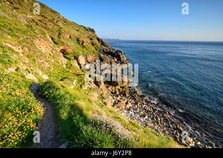 Percorso lungo scogliere a Porth Nanven vicino Land's End in Cornovaglia Foto Stock