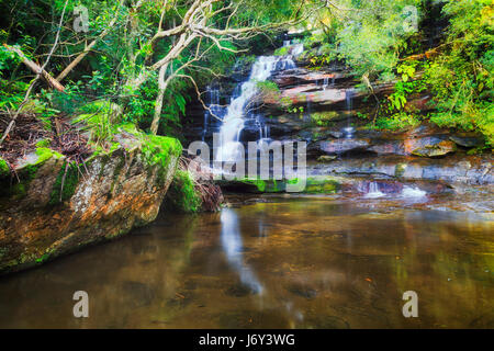 Australian foresta pluviale sempreverde di felci e gomma-alberi su NSW Central Coast - cascata somersby caduta massi di arenaria di rock pool. Foto Stock