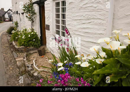 Regno Unito, Cornwall, St Austell, Polkerris, display floreale in giardino frontale dei piccoli pescatori's cottage Foto Stock