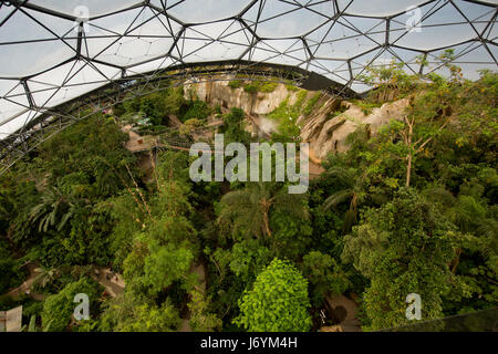 Regno Unito, Cornwall, St Austell, Bodelva, Eden Project, il Rainforest Biome, un ampio angolo di visione verso il basso dalla piattaforma sopraelevata Foto Stock