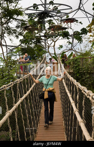 Regno Unito, Cornwall, St Austell, Bodelva, Eden Project, il Rainforest Biome, senior donna visitatore elevata ponte Corda Foto Stock