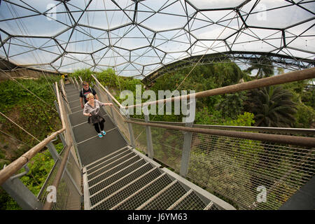 Regno Unito, Cornwall, St Austell, Bodelva, Eden Project, il Rainforest Biome, visitatori passaggi di arrampicata a superiore della piattaforma di visualizzazione Foto Stock