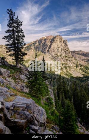 Cascade Canyon and Pine Trees, Grand Teton National Park, Wyoming, Stati Uniti Foto Stock