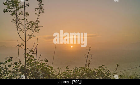 Il sole sorge attraverso l'alba foschia sopra i campi del Sussex Foto Stock