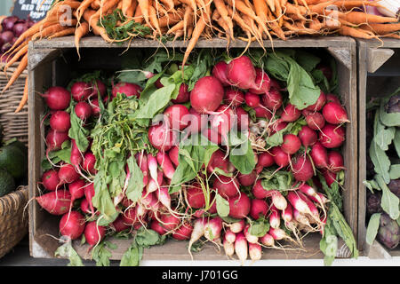 Verdure organiche. ravanelli e carote per la vendita a Daylesford Organic farm shop festival estivi. Daylesford, Cotswolds, Gloucestershire, Inghilterra Foto Stock