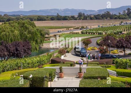 Turisti, visitatori, visitando, Domaine Carneros Napa Napa Valley Napa County, California, Stati Uniti Foto Stock