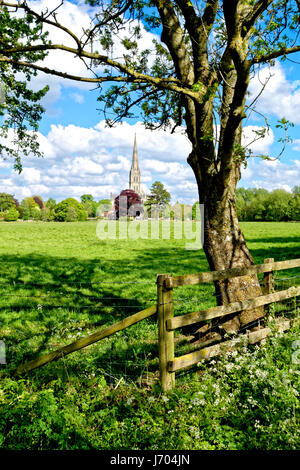 La Cattedrale di Salisbury, Wiltshire, Regno Unito, come si vede dal Harnham prati d'acqua. Foto Stock