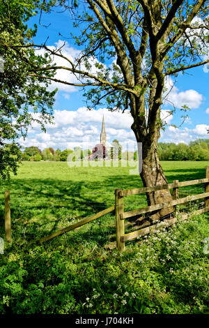 La Cattedrale di Salisbury, Wiltshire, Regno Unito, come si vede dal Harnham prati d'acqua. Foto Stock