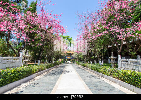 Kunming,Yunnan - Aprile 8,2017 :Tempio di Yuantong è il più famoso tempio buddista in Kunming, nella provincia dello Yunnan in Cina. Foto Stock