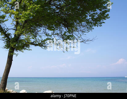 Alberi sul litorale sul percorso al Mitsis Roda Beach Hotel, Roda, Corfù, Grecia Foto Stock