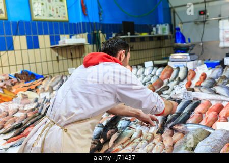 Fish monger disponendo il pesce fresco sul ghiaccio, esposte per la vendita Foto Stock