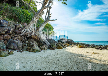 Il legno e la pietra sulla spiaggia a Phuket, Tailandia Foto Stock