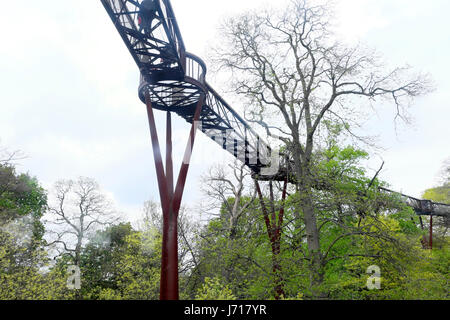 Treetop struttura passerella presso i Giardini di Kew in primavera, Londra UK KATHY DEWITT Foto Stock