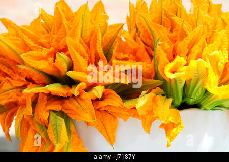 L'Italia, Lombardia, mercato, fiori di zucca, zucchina blumi, fiori di zucca. Foto Stock