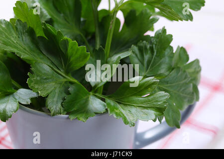 Tazza di prezzemolo fresco foglie - close up Foto Stock
