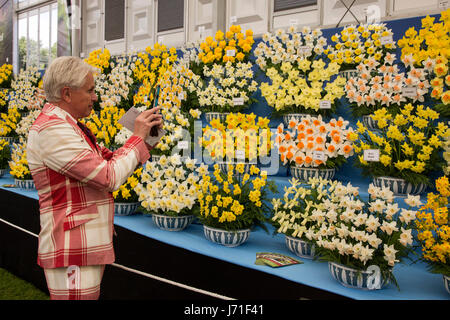 Londra, Regno Unito. 22 maggio 2017. Premere il tasto giorno al 2017 RHS Chelsea Flower Show che si apre al pubblico domani. Foto: immagini vibranti/Alamy Live News Foto Stock