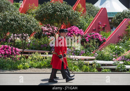 Il Royal Hospital Chelsea, Londra, Regno Unito. 22 Maggio, 2017. Il pinnacolo annuale del calendario orticola, RHS Chelsea Flower Show, giorno di anteprima con celebrità visita. Due pensionati di Chelsea a piedi oltre la Via della Seta giardino, Chengdu Cina, progettato dall'architetto Laurie Chetwood e giardino designer Patrick Collins. Credito: Malcolm Park editoriale/Alamy Live News. Foto Stock