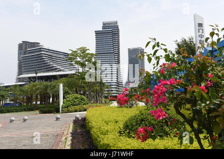 (170523) -- XIAMEN, 23 maggio 2017 (Xinhua) -- Foto scattata il 18 Maggio 2017 mostra fiori di bouganvillea nella città di Xiamen di sud-est della Cina di provincia del Fujian. Il Bougainvillea è diventata la città fiore di Xiamen nel 1986. (Xinhua/Lin Shanchuan) (lb) Foto Stock