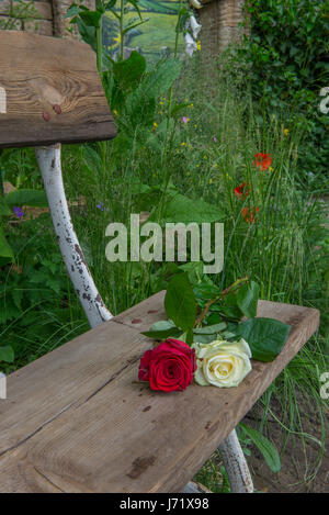 Red & White Rose che mostra la solidarietà dello Yorkshire & Lancashire dopo il bombardamento di Manchester. Immagini prese su teh Benvenuto a yorkshire garden questo anno la RHS Chelsea Garden, denominato Benvenuto a Yorkshire, è ispirato lo spettacolare scenario della costa dello Yorkshire. Essa mette in mostra gli elementi chiave della contea è di una bellezza con scogliere, una rovina abbazia, una spiaggia di ciottoli e il mare - completo di una imbarcazione per la pesca di aragoste e pentole. Per il secondo anno consecutivo un benvenuto a Yorkshire ha uno dei più grandi show giardini presso la RHS Chelsea e ogni centimetro di è autenticamente Yorkshire. La pietra usata per costruire Foto Stock