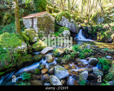 Abbandonato poco casa o mulino nella foresta in Vale do Douro, Portogallo. Foto Stock