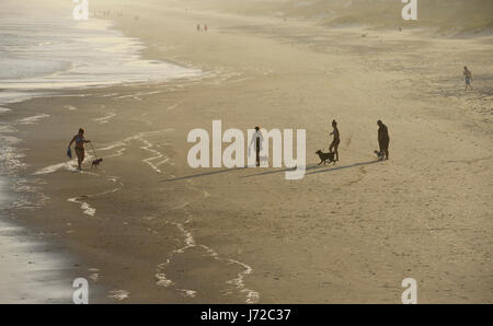 Profilarsi la gente camminare cani sulla spiaggia al tramonto Foto Stock