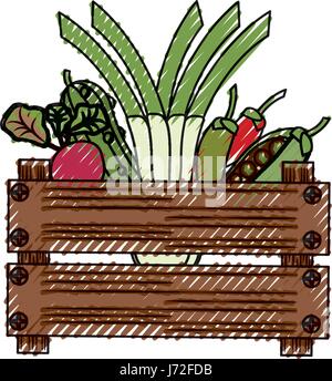 Verdure in scatola di legno Illustrazione Vettoriale