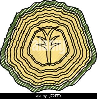 Lattuga fresca verdura Illustrazione Vettoriale