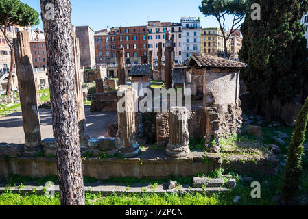 Largo di Torre Argentina è una piazza di Roma, Italia, che ospita quattro romana repubblicana, templi e resti di Pompeo Theatre. Foto Stock