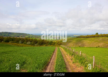 Un patchwork di campi nella vista panoramica del paesaggio agricolo nel yorkshire wolds sotto un cielo nuvoloso in primavera Foto Stock