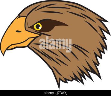 Testa di cartoon aquila calva bird national american Illustrazione Vettoriale