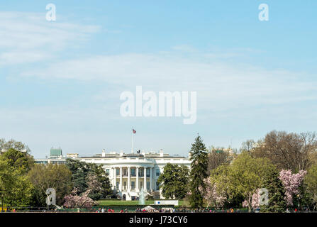 White House vista da una distanza, Washington ai primi di marzo - bel tempo, fioritura magnolia, vedute della citta'. Foto Stock