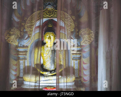 Atmospherif colpo di un santuario dietro le tende di una delle molte sculture del BUDDA in Dambulla tempio nella grotta. Conosciuto anche come tempio d'oro di d Foto Stock