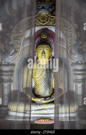 Scatto atmosferico di un santuario dietro le tende di una delle molte sculture di buddha all'interno del tempio della grotta di Dambulla. Foto Stock