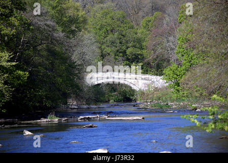 Chatelherault Country Park fiume Avon Fairholm Bridge visto dal Ponte Verde Foto Stock