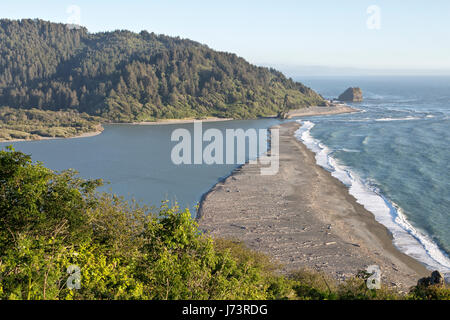 Affacciato sulla foce del fiume Klamath, sandbar con driftwood, Douglas Fir, Live & Deciduo Oak Forest in background, Klamath. Foto Stock