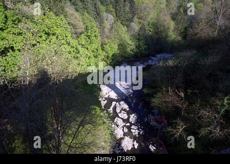 Chatelherault Country Park fiume Avon Gorge con il calcare riverbed mostra a causa della siccità Foto Stock