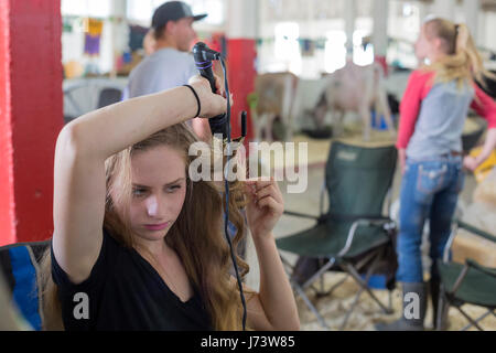 Phoenix, Arizona - una giovane donna si arriccia capelli nel bestiame fienile al Maricopa County Fair prima di un allevamento a giudicare la concorrenza. Foto Stock