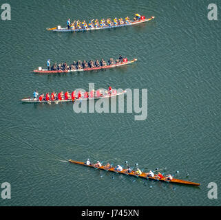 Formazione Dragonboat sulla Ruhr con vogatore, Ruhr a Kupferdreh, Essen, la zona della Ruhr, Renania settentrionale-Vestfalia, Germania,Drachenboot-Training auf der Ruhr mi Foto Stock