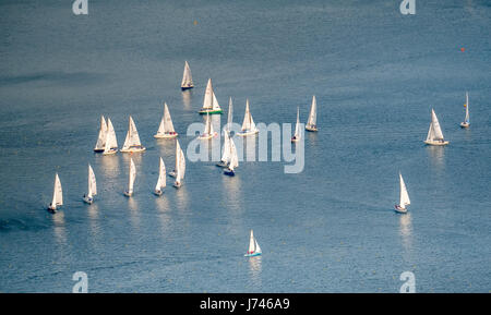 Regata a vela sul lago di Baldeney, barche a vela e barche a vela gara, acqua azzurra, lago artificiale, ricreazione, vela, mangiare, zona della Ruhr, Nord Rhine-Westp Foto Stock