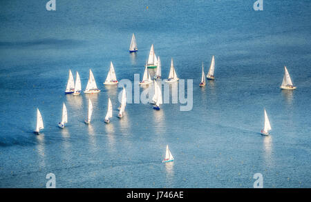 Regata a vela sul lago di Baldeney, barche a vela e barche a vela gara, acqua azzurra, lago artificiale, ricreazione, vela, mangiare, zona della Ruhr, Nord Rhine-Westp Foto Stock