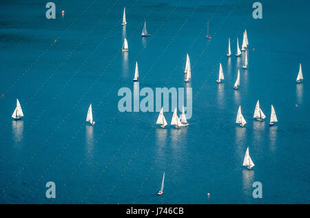 Regata a vela sul lago di Baldeney, barche a vela e barche a vela gara, acqua azzurra, lago artificiale, ricreazione, vela, mangiare, zona della Ruhr, Nord Rhine-Westp Foto Stock