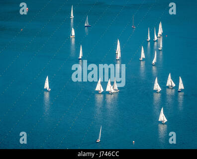 Regata a vela sul lago di Baldeney, barche a vela e barche a vela gara, acqua azzurra, lago artificiale, ricreazione, vela, mangiare, zona della Ruhr, Nord Rhine-Westp Foto Stock