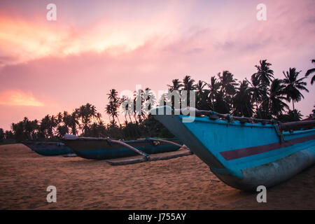 Barche da pesca sul kahandamodara appena fuori Tangalle, Sri Lanka, al tramonto. Foto Stock